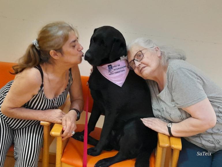 Os nossos dias correm muito melhor quando recebemos a visita da Escola de Cães-guia para Cegos.